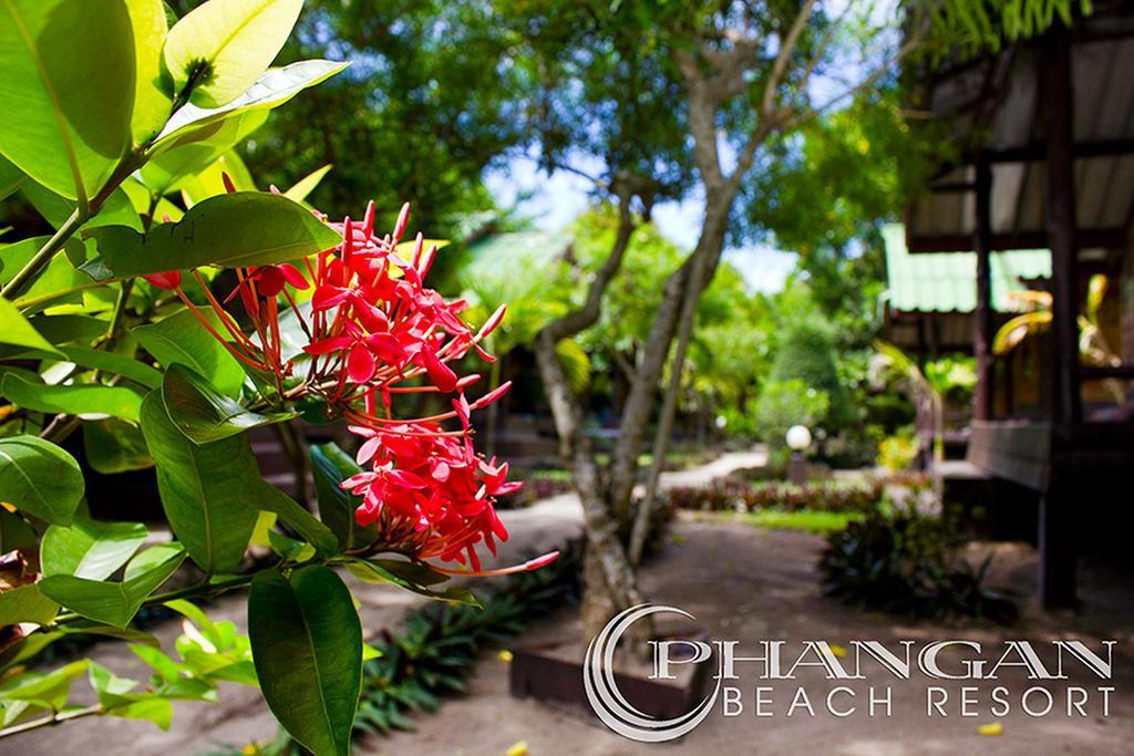Resor Phangan